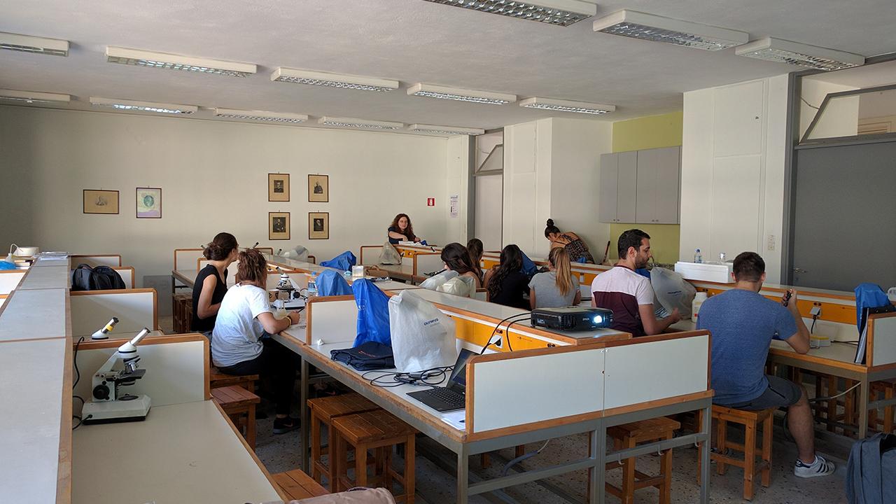 Agricultural University of Athens Outreach Workshop Summer